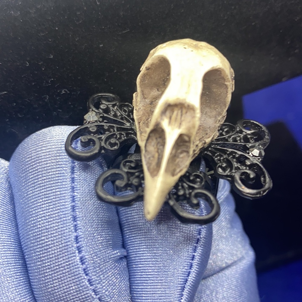 Bird skull ring, ironwork style with straps Gothic